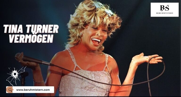 Tina Turner Vermögen